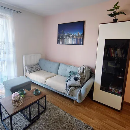 Sylvia Self Check-in Netflix Апартаменты Жешув