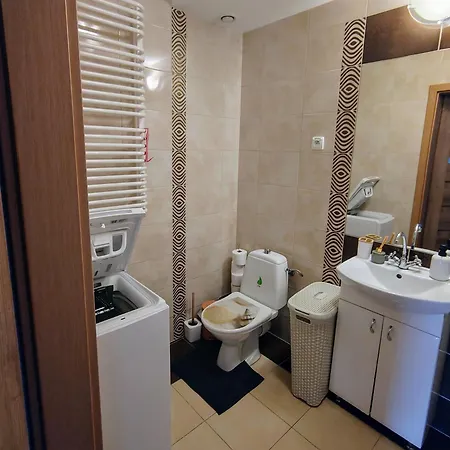 Sylvia Self Check-in Netflix 热舒夫