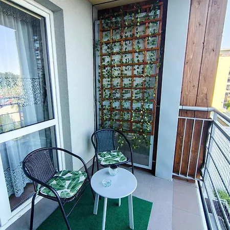 公寓 Sylvia Self Check-in Netflix 热舒夫