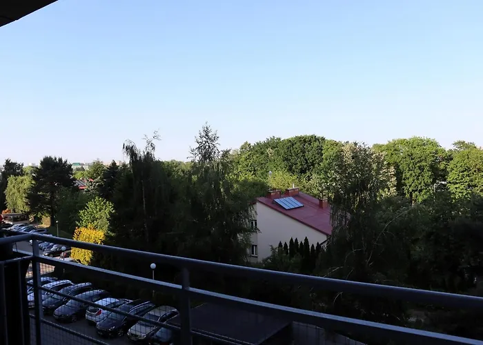 Sylvia Self Check-in Netflix *