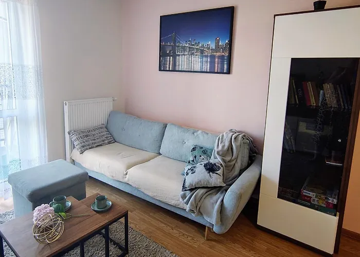 Sylvia Self Check-in Netflix Διαμέρισμα Rzeszów