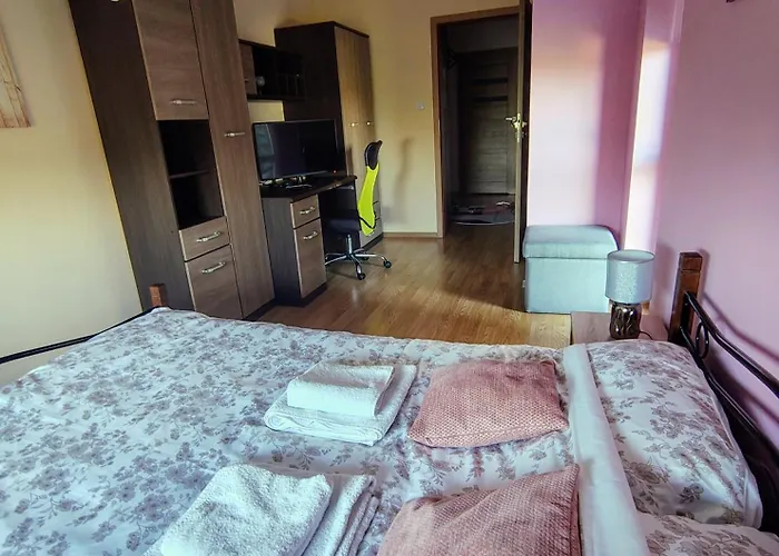 Sylvia Self Check-in Netflix